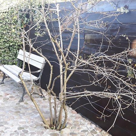 Zacisze Kalwy Daire Dış mekan fotoğraf