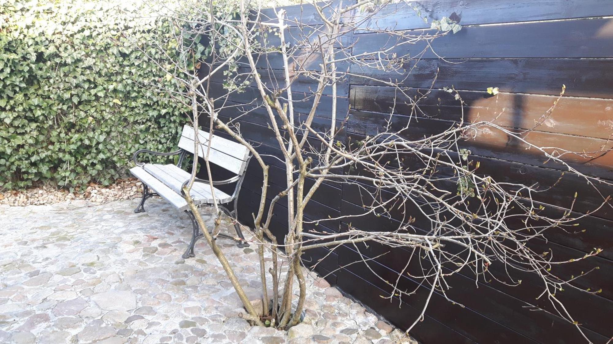 Zacisze Kalwy Daire Dış mekan fotoğraf
